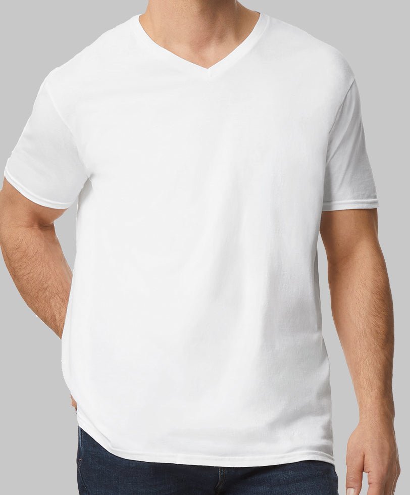 Softstyle v - neck [GD010] - Niche by Design