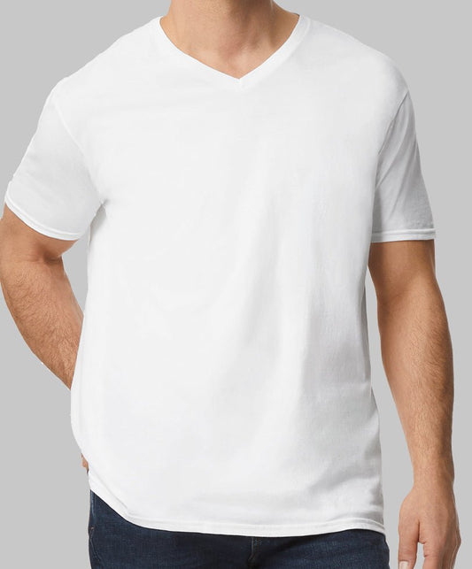 Softstyle v - neck [GD010] - Niche by Design